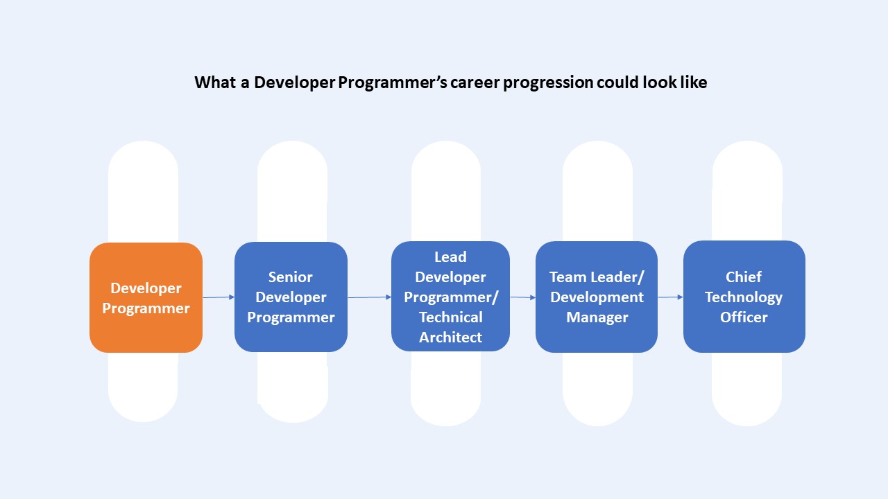 Flow chart showing possible career progression for a Developer Programmer