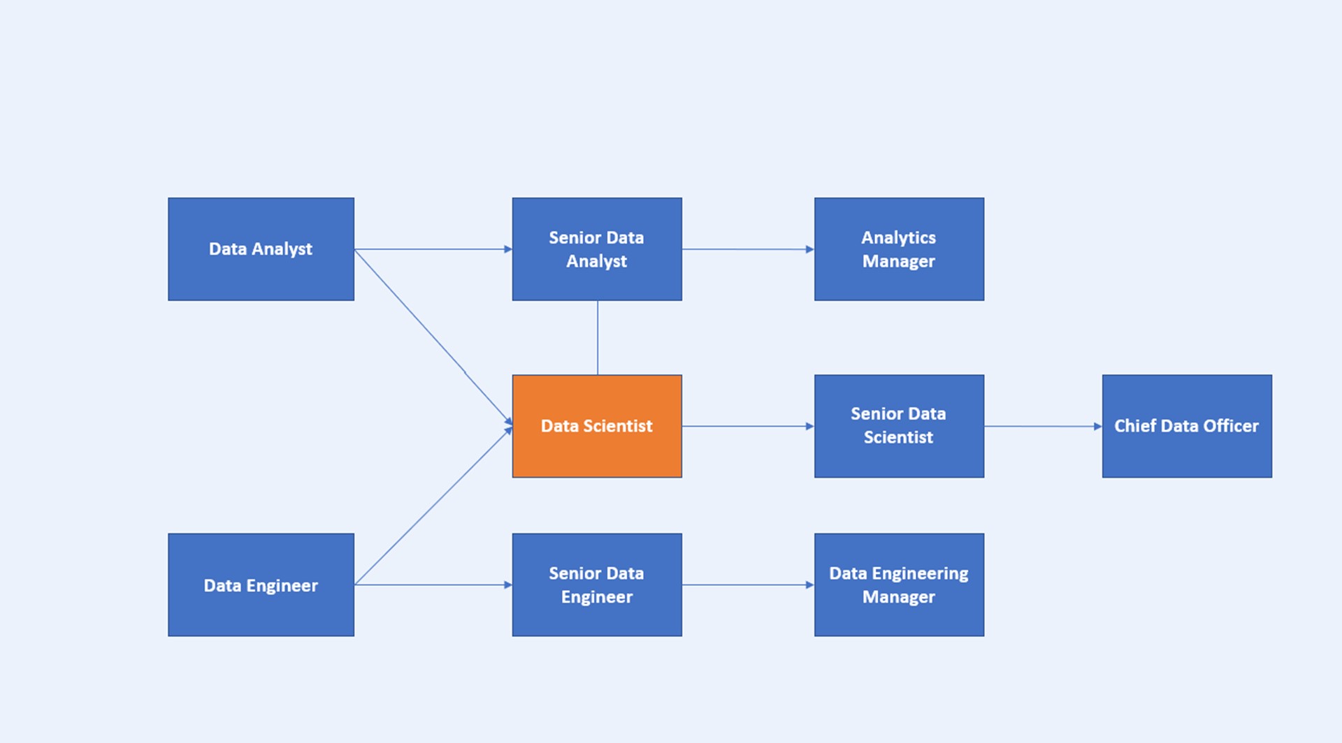 A chart showing career progression from date analyst and data engineer to data scientist and chief data officer